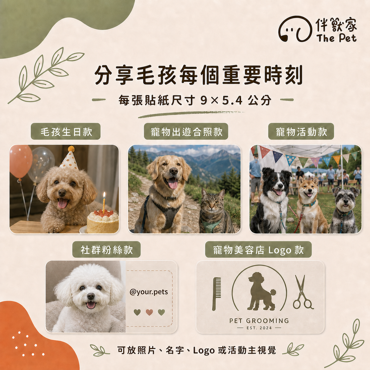 Codex 圖像 2026年8月26日 上午11_38_41.png