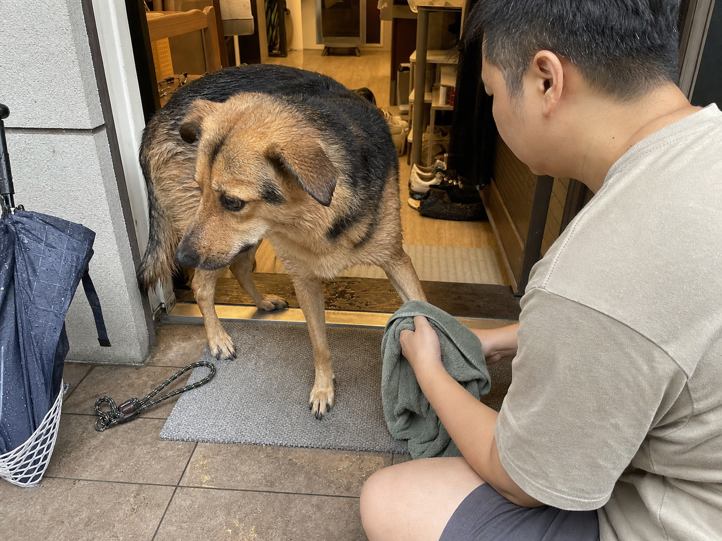雨天散步回家後,飼主以毛巾輕柔擦乾狗狗腳掌