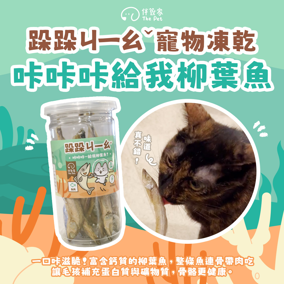 凍乾05_給我柳葉魚.jpg