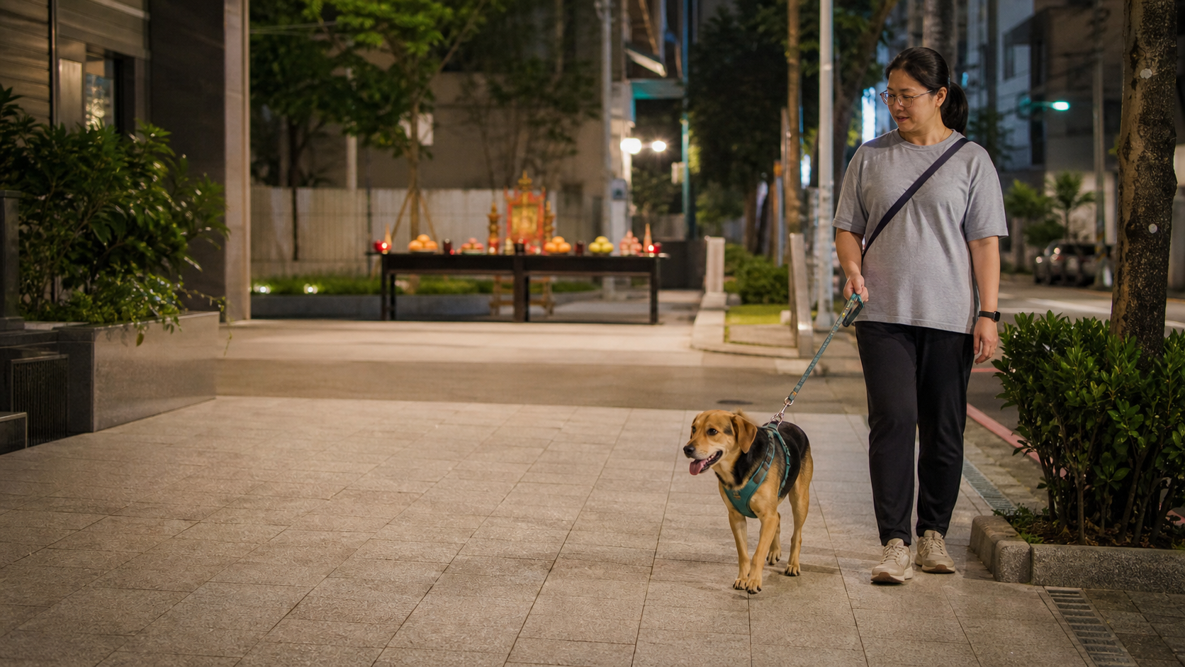 中元普渡毛孩安全提醒:飼主以胸背帶與牽繩帶狗狗走在照明良好的住宅人行道